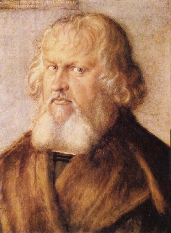 Albrecht Durer Portrait of Hieronymus Holzschuher China oil painting art